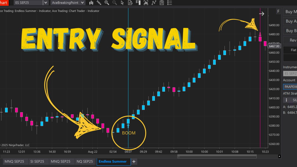 Endless Summer Trading Indicator - Precision Entries